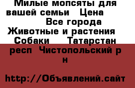 Милые мопсяты для вашей семьи › Цена ­ 20 000 - Все города Животные и растения » Собаки   . Татарстан респ.,Чистопольский р-н